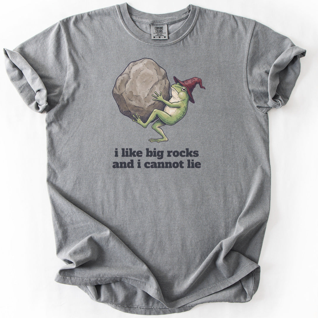 I Like Big Rocks and I Cannot Lie Premium - Grey
