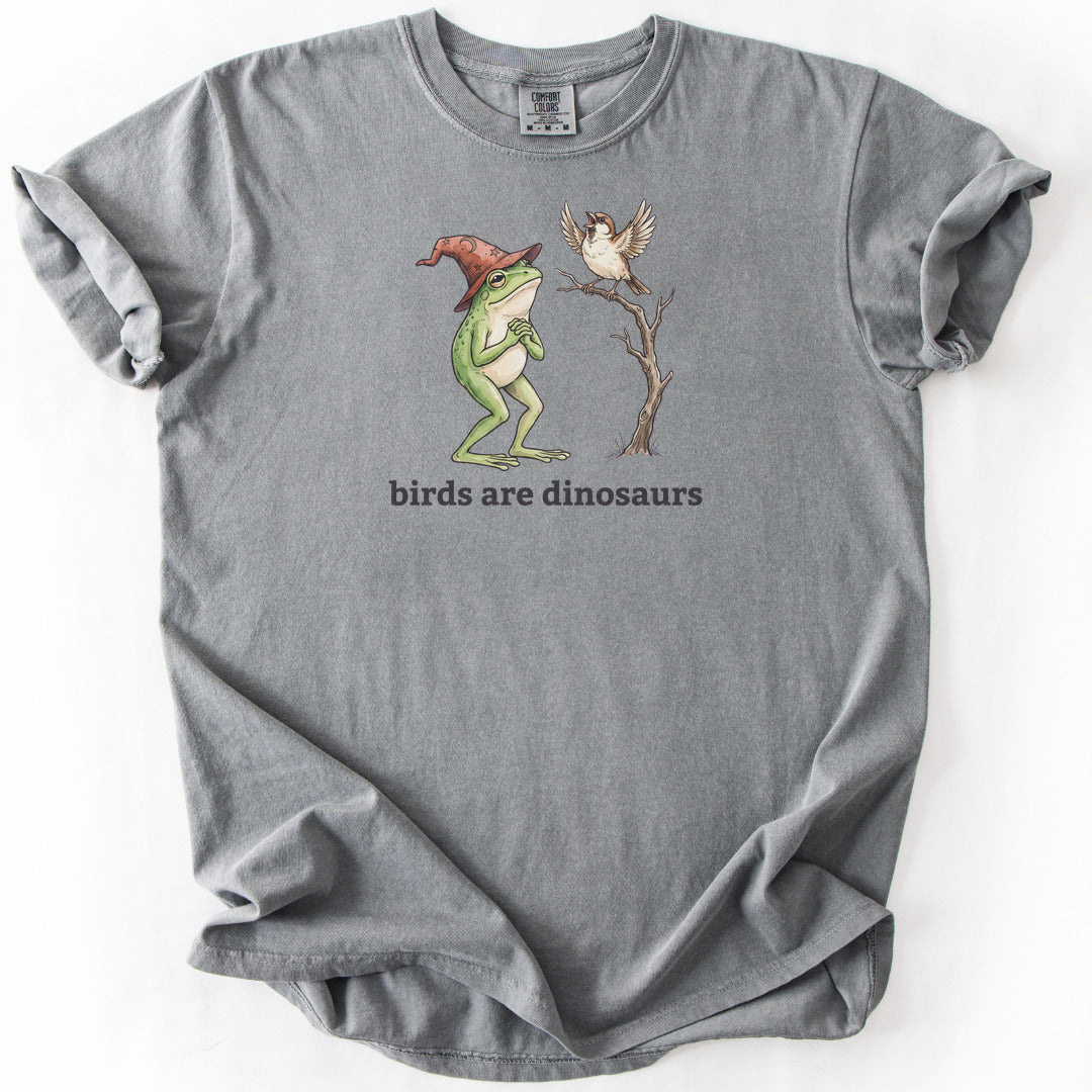 Birds Are Dinosaurs Premium - Grey