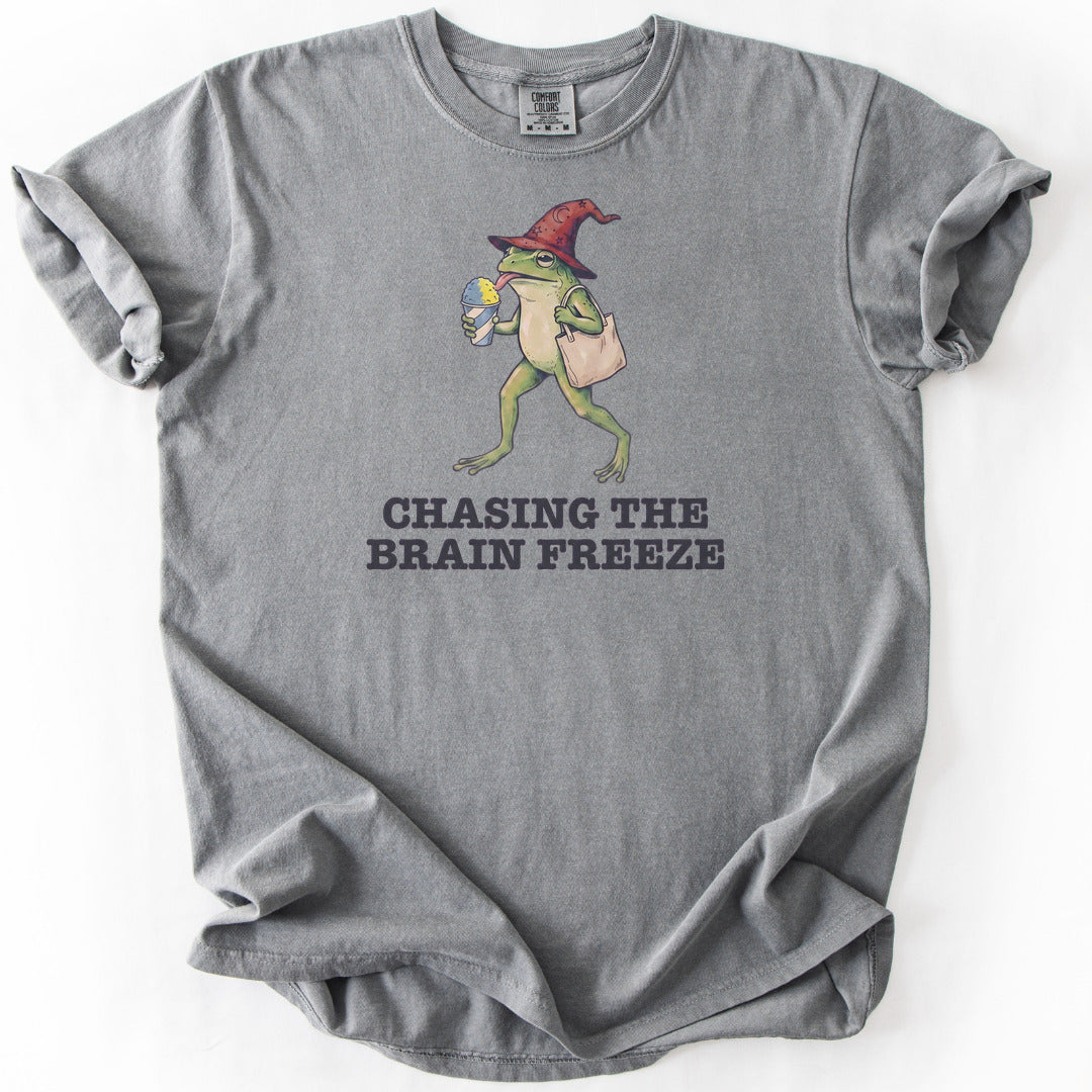 Chasing the Brain Freeze Premium - Grey