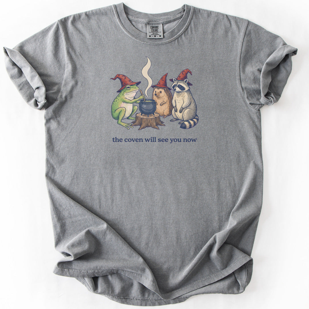 The Coven Will See You Now Premium - Grey