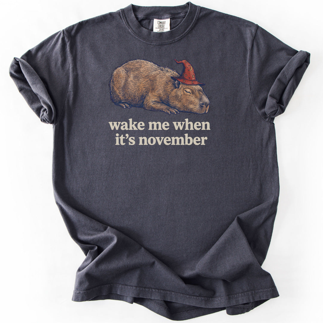 Wake Me When It's November Premium - Graphite