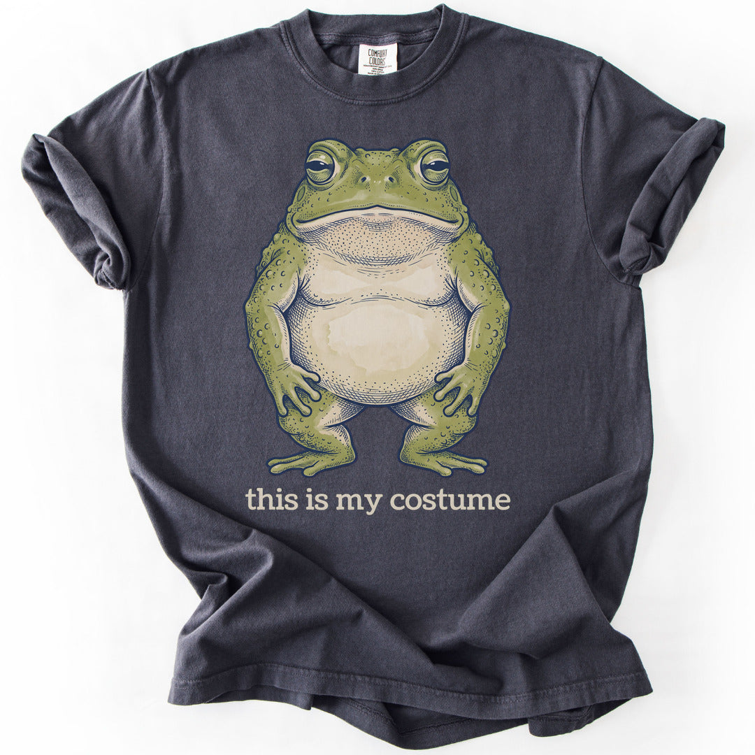 This Is My Costume Premium - Graphite