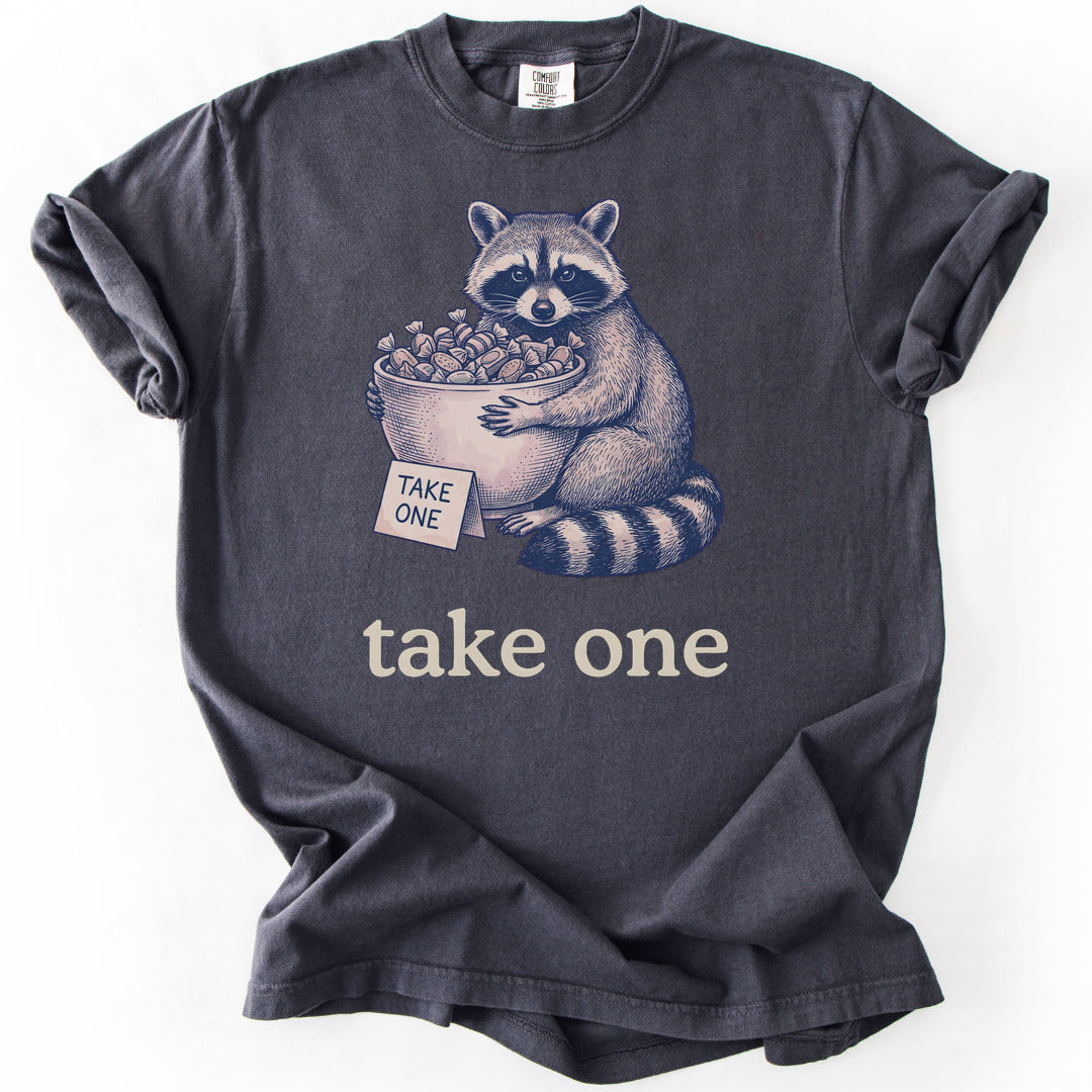 Take One Premium - Graphite