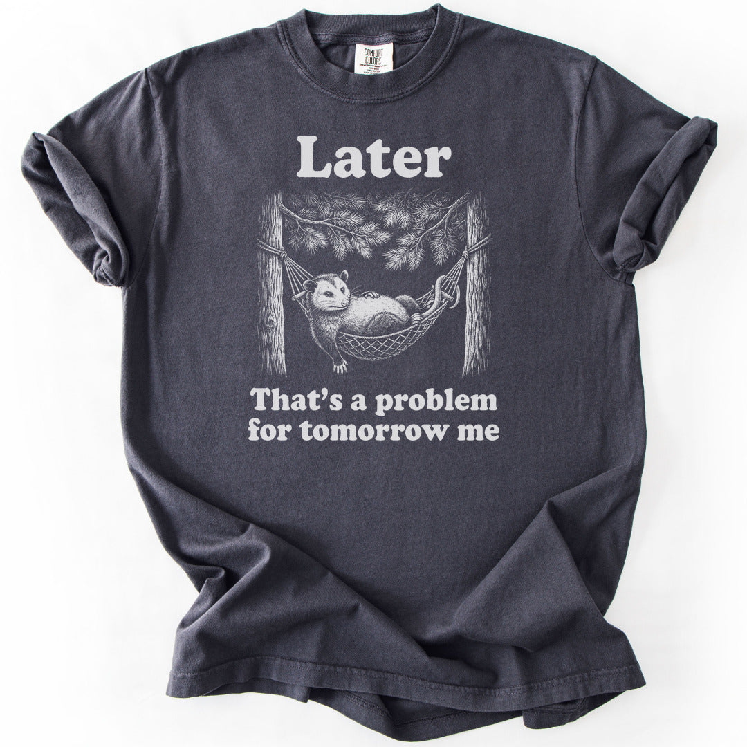 Later Premium - Graphite