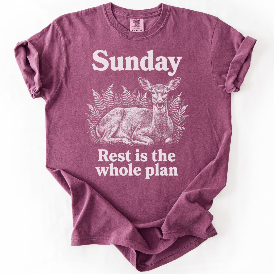 Rest Is the Whole Plan Premium - Berry