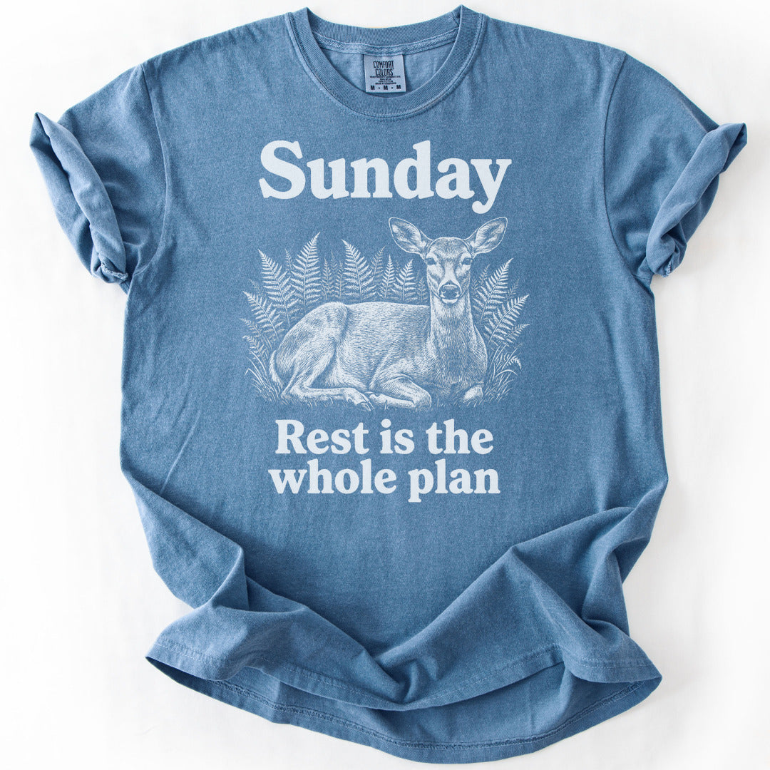 Rest Is the Whole Plan Premium - Blue Jean