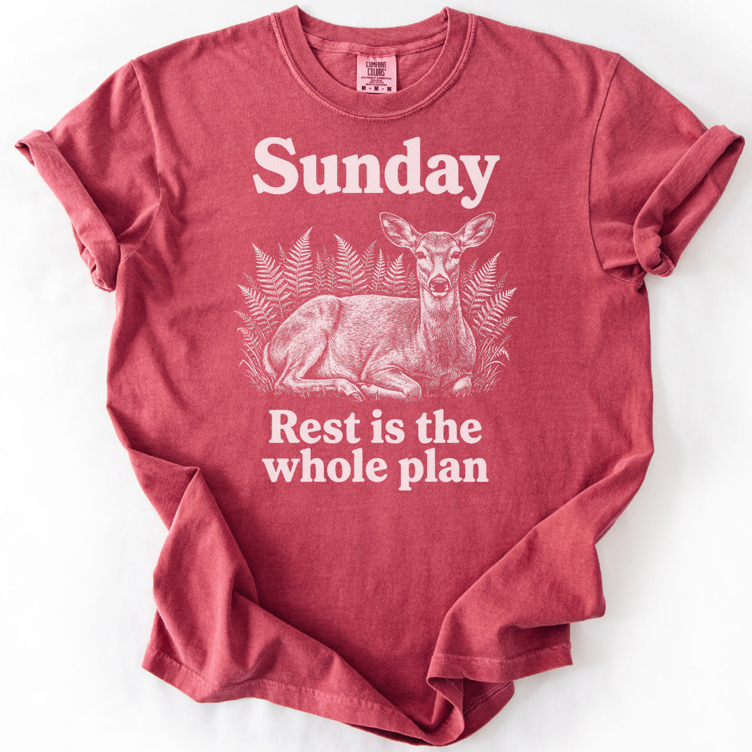Rest Is the Whole Plan Premium - Crimson