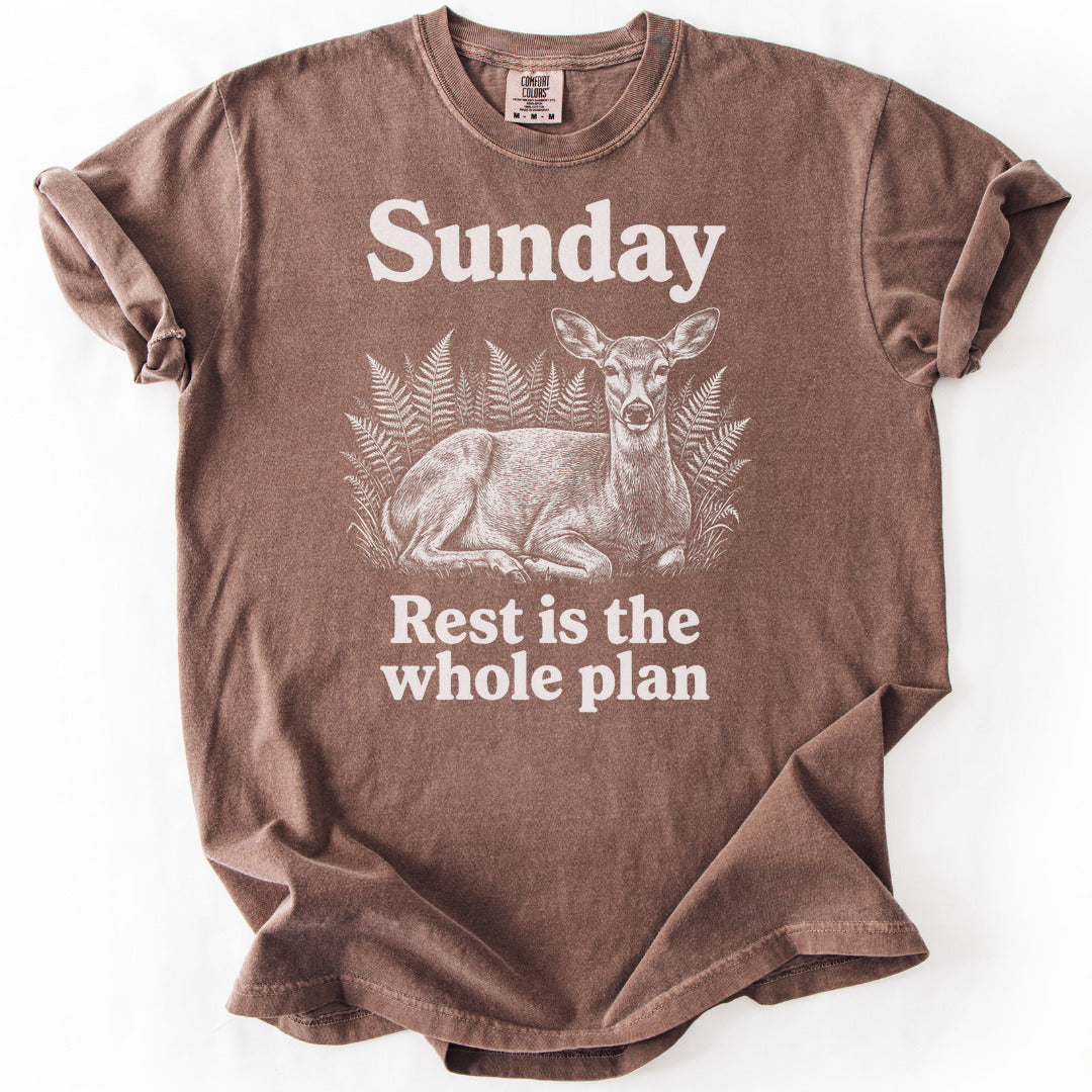 Rest Is the Whole Plan Premium - Espresso