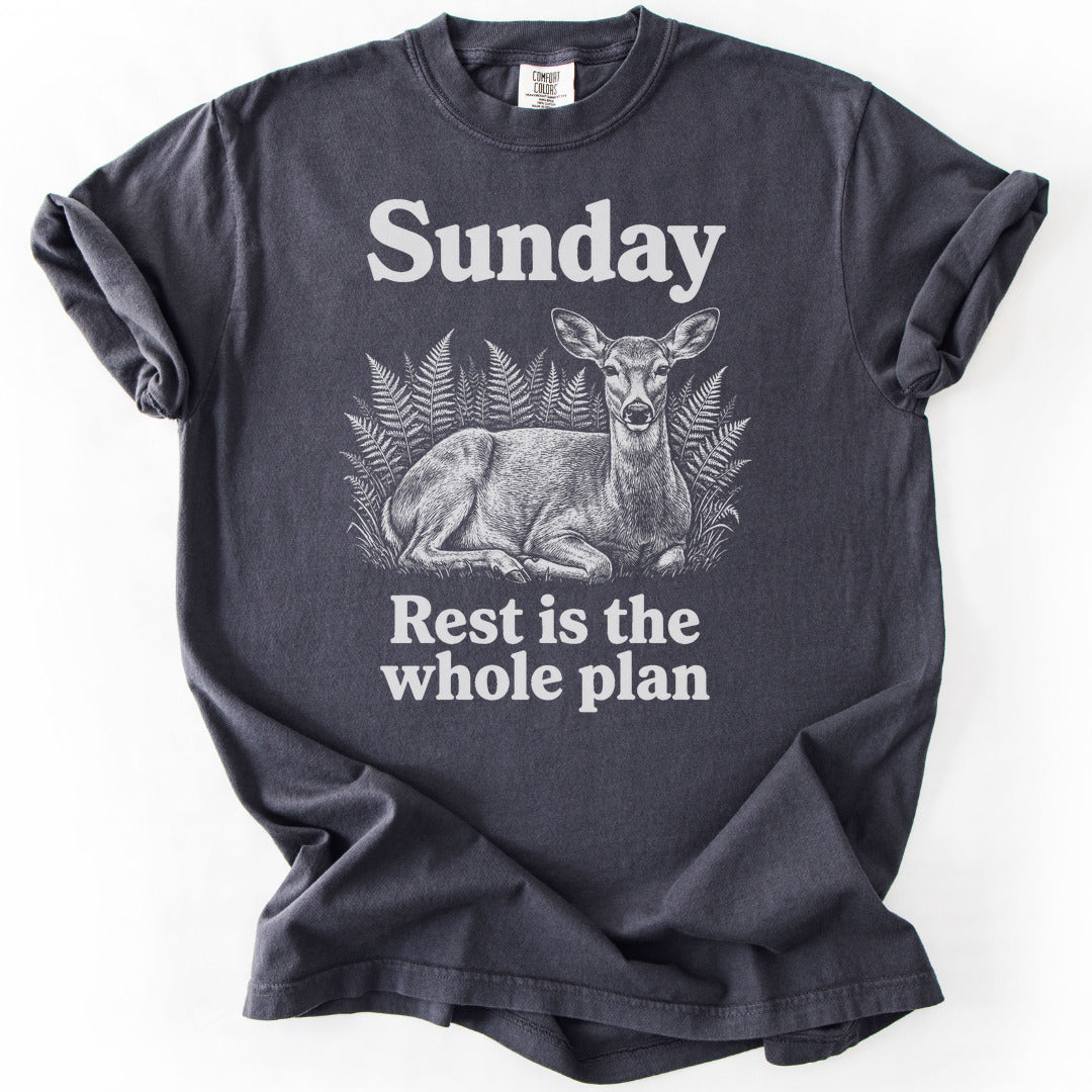 Rest Is the Whole Plan Premium - Graphite