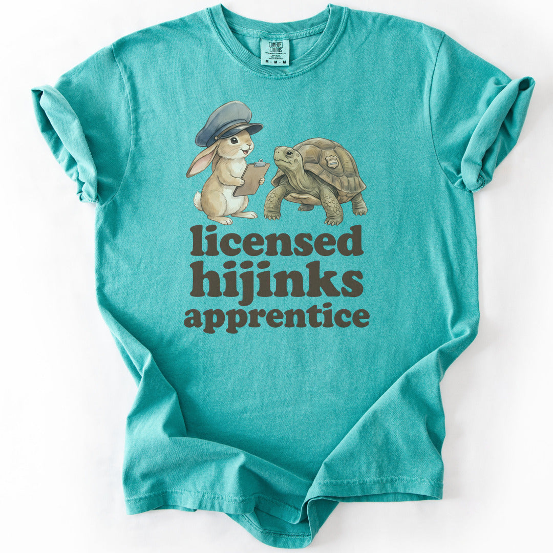Licensed Hijinks Apprentice Premium - Seafoam