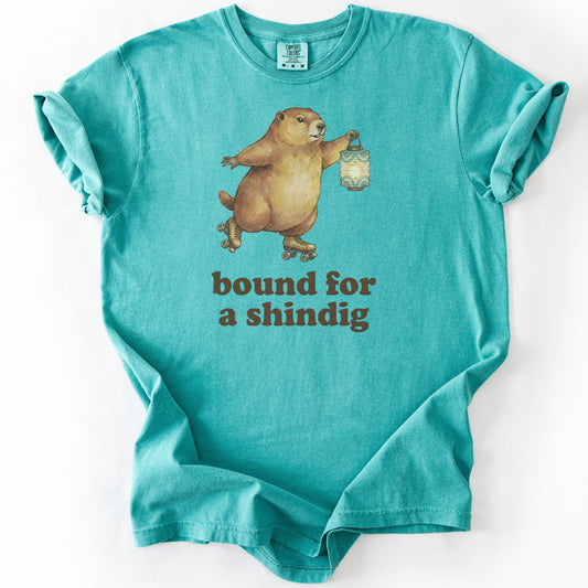 Bound for a Shindig Premium - Seafoam