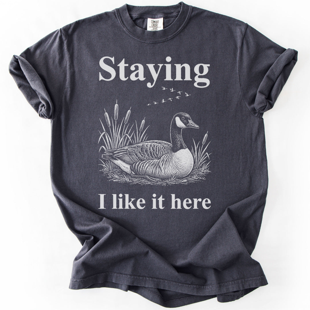 Staying I Like It Here Premium - Graphite