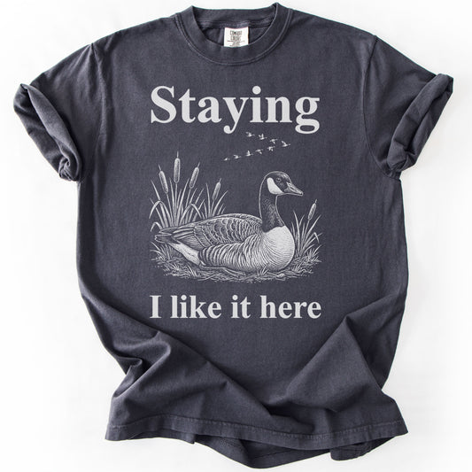 Staying I Like It Here Premium - Graphite