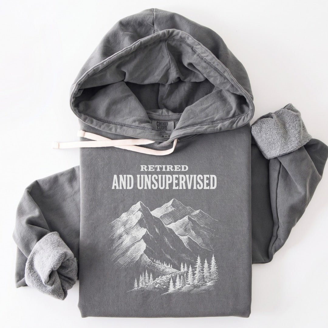 Hoodie Grey / S Retired and Unsupervised Premium Hoodie