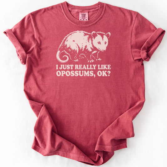 I Just Really Like Opossums, Ok? Premium - Crimson