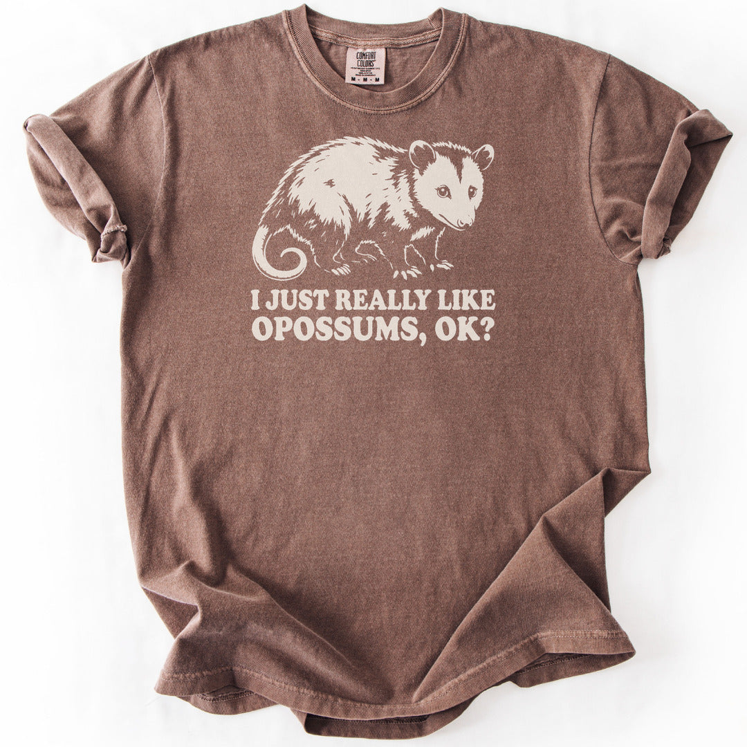 I Just Really Like Opossums, Ok? Premium - Espresso