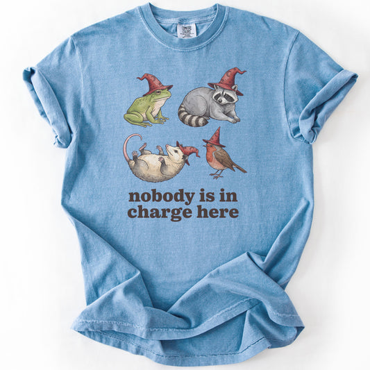 Nobody Is In Charge Here Premium - Washed Denim