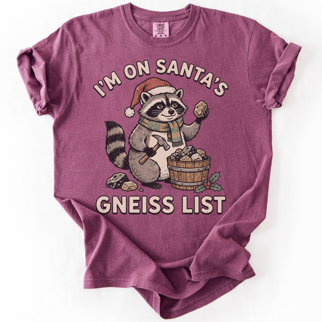 Santa's Gneiss List Premium - Berry