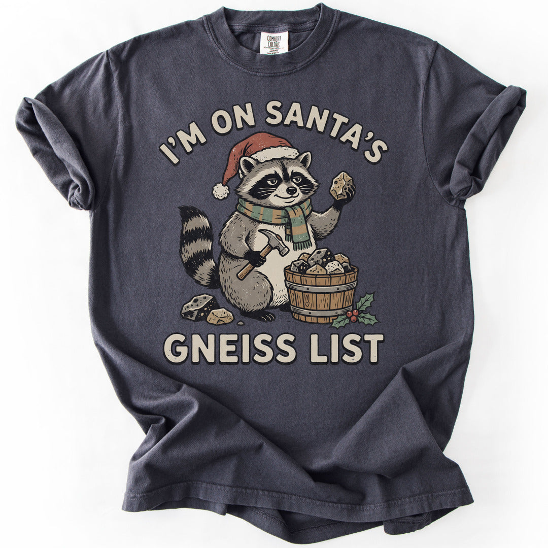 Santa's Gneiss List Premium - Graphite