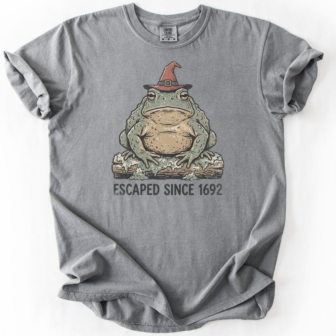 Escaped Since 1692 Premium - Grey