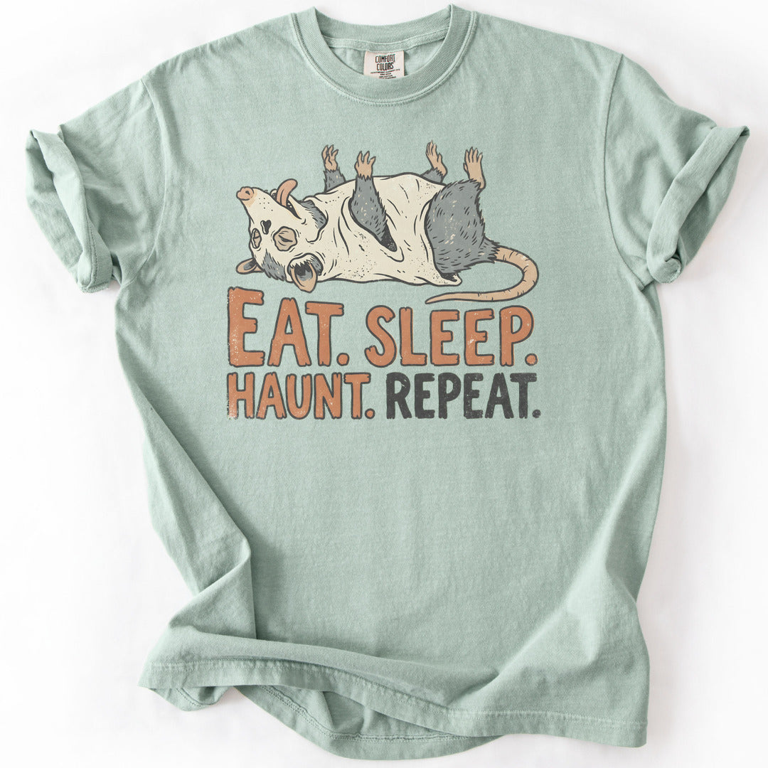 Eat Sleep Haunt Repeat Premium - Bay