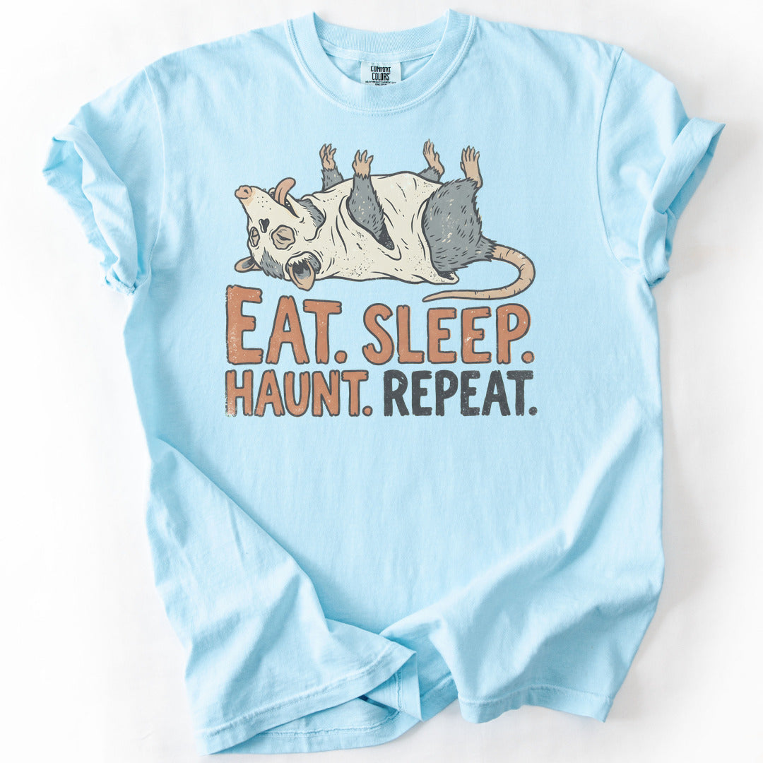 Eat Sleep Haunt Repeat Premium - Chambray