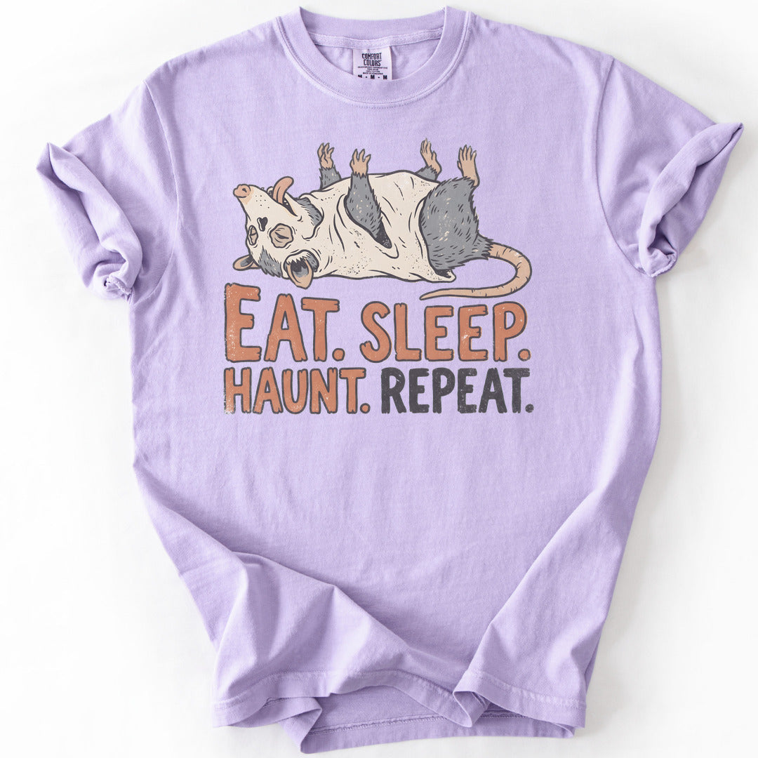 Eat Sleep Haunt Repeat Premium - Orchid