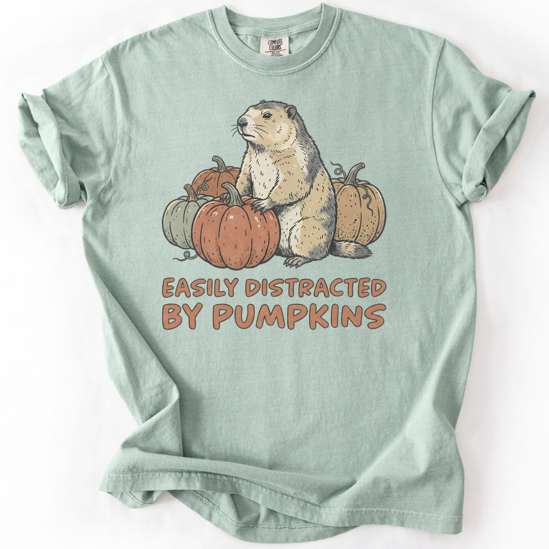 Easily Distracted by Pumpkins Premium - Bay