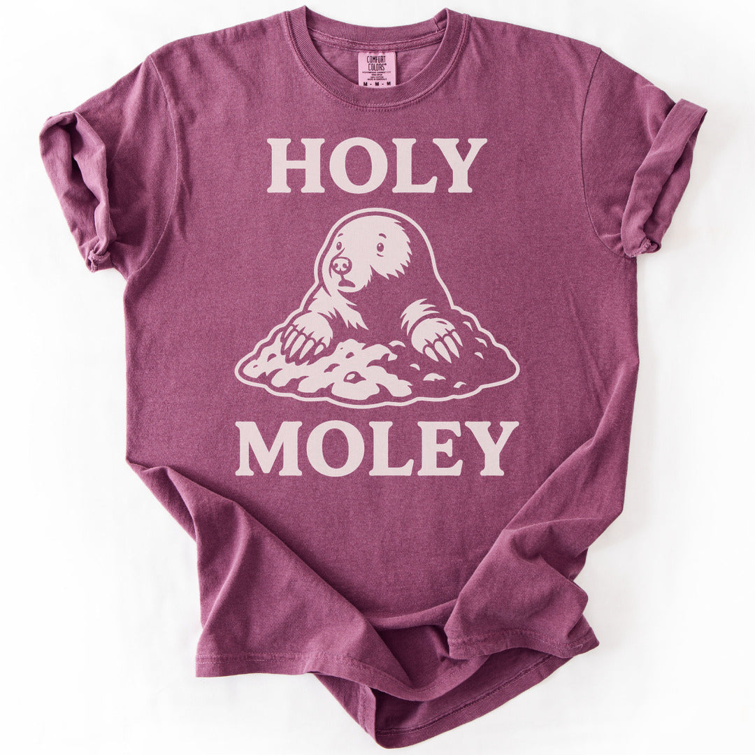 Holy Moley Premium - Berry