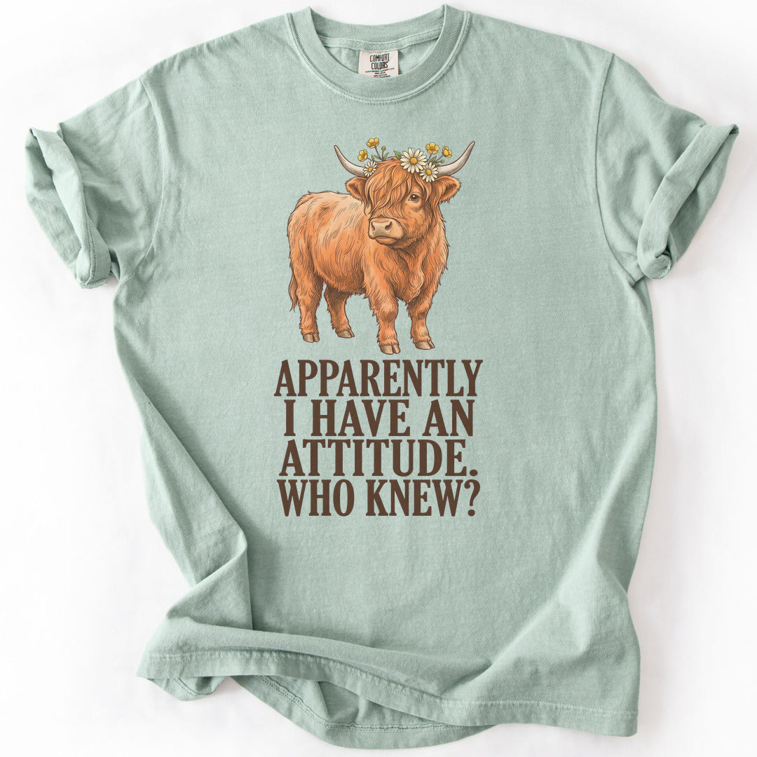 Apparently I Have An Attitude. Who Knew? Premium - Bay