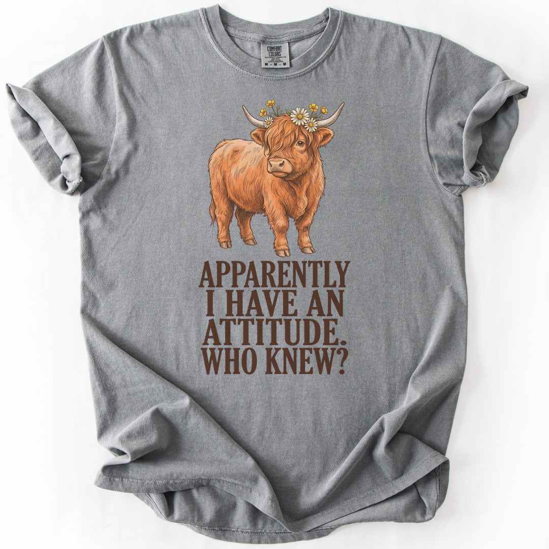Apparently I Have An Attitude. Who Knew? Premium - Grey