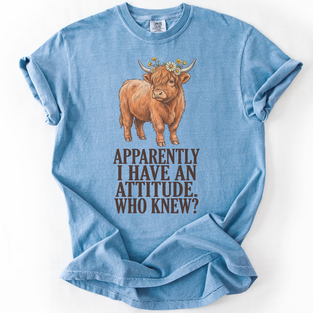 Apparently I Have An Attitude. Who Knew? Premium - Washed Denim
