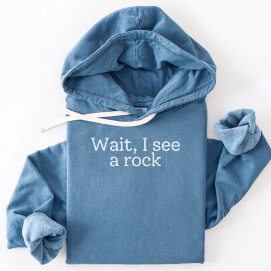 Hoodie Blue Jean / S Wait, I see a rock Premium Hoodie