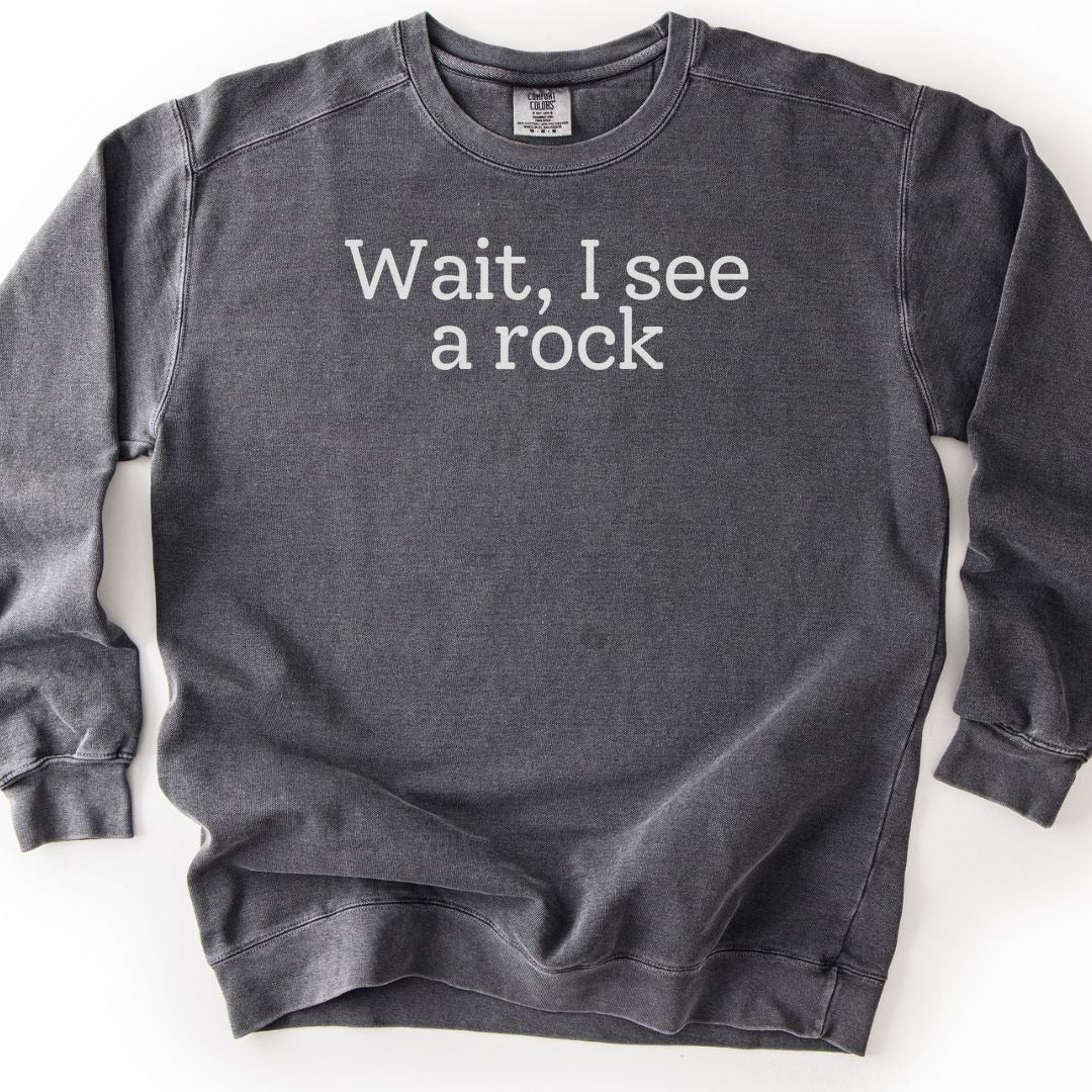 Wait, I see a rock Premium Sweatshirt - Pepper