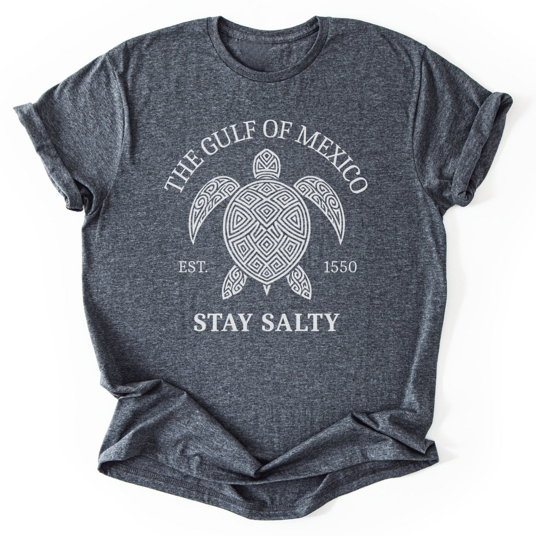 T-Shirt Dark Heather / S Gulf Of Mexico Funny T-Shirt