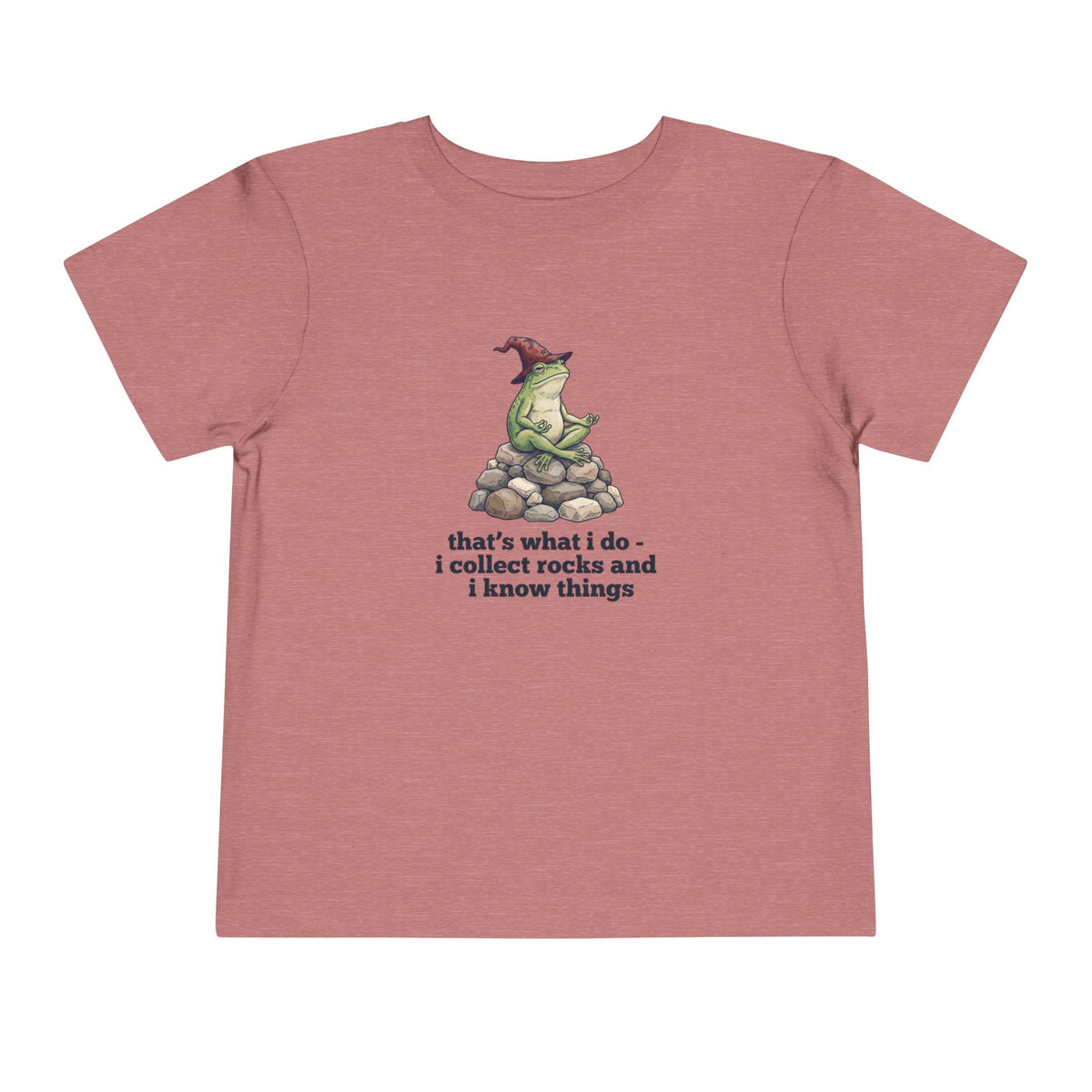 I Collect Rocks and I Know Things Toddler T-Shirt
