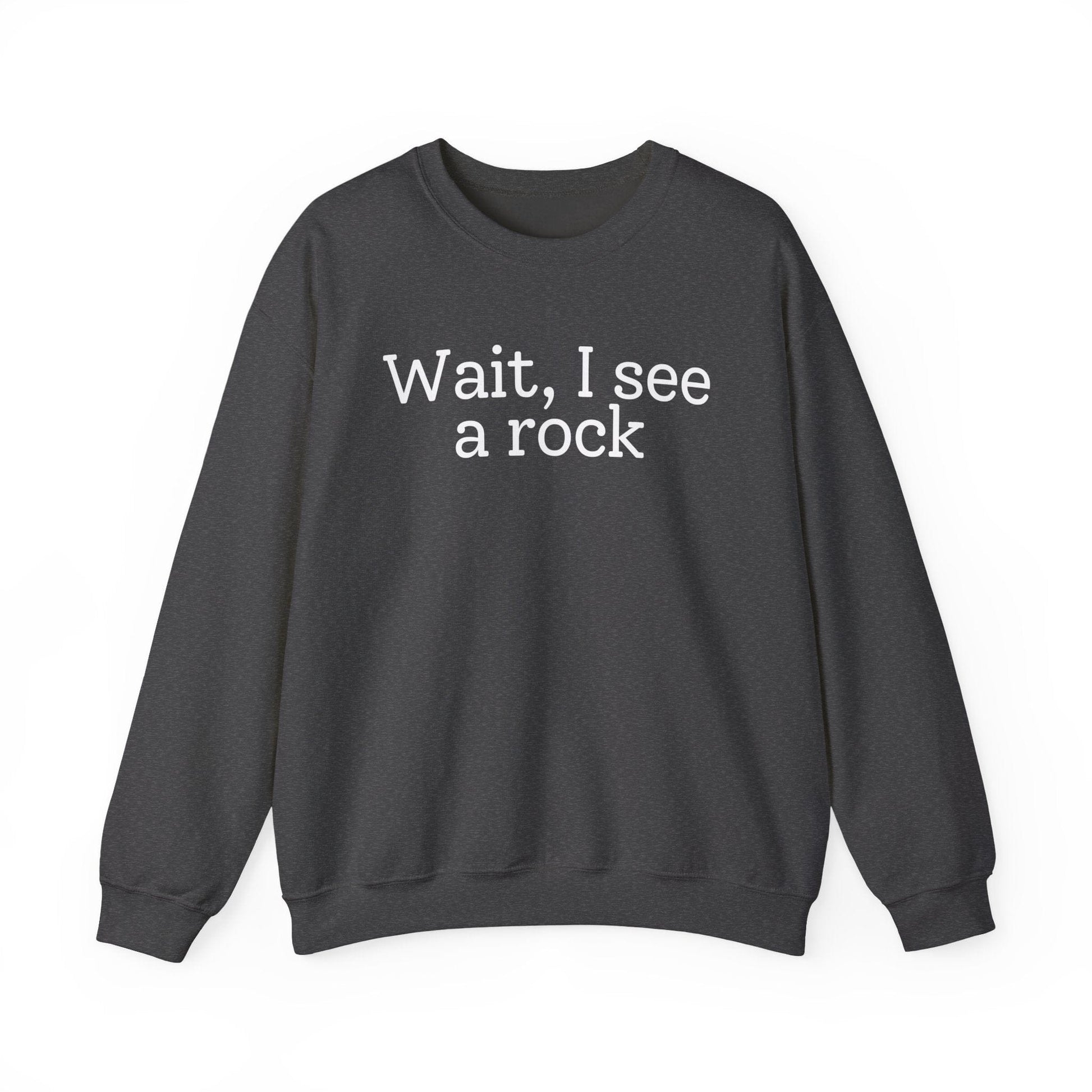 Sweatshirt Dark Heather / S Wait, I see a rock Sweatshirt