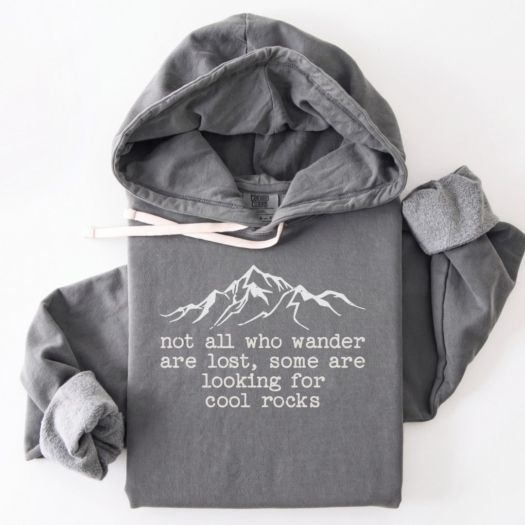Hoodie Grey / S Wanderlust & Rocks Premium Hoodie