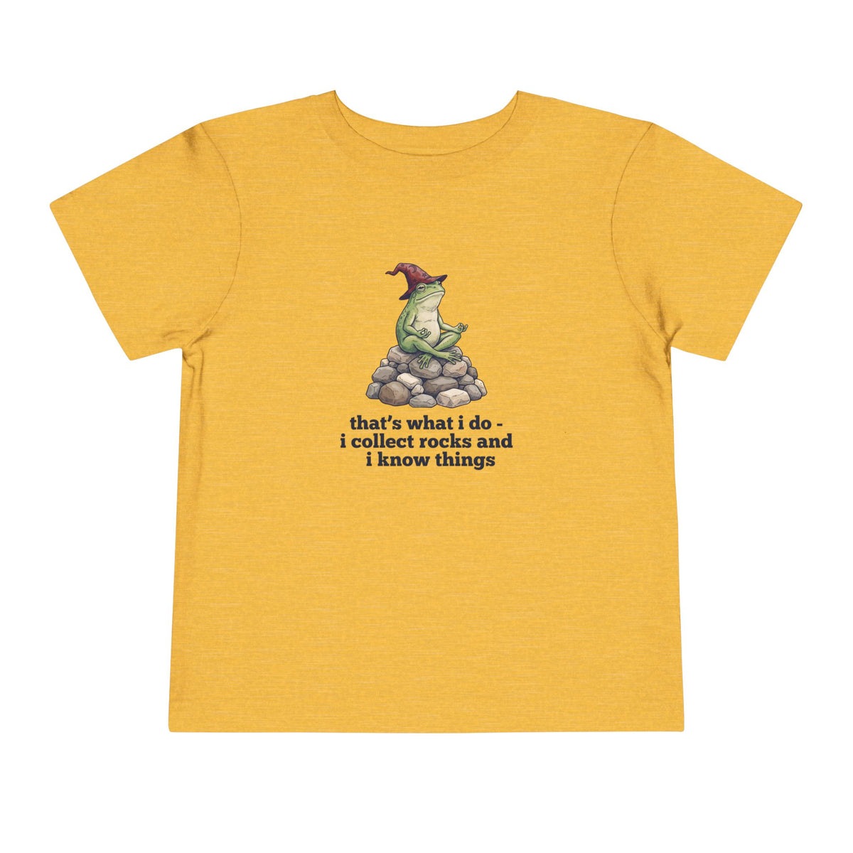 I Collect Rocks and I Know Things Toddler T-Shirt