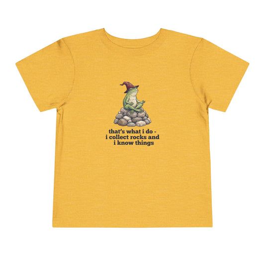 I Collect Rocks and I Know Things Toddler T-Shirt