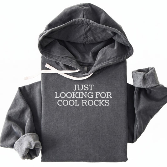 Hoodie Pepper / S Just Looking for Rocks Funny Premium Hoodie