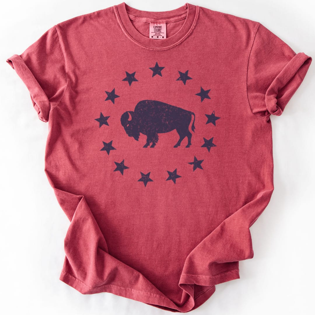 T-Shirt Crimson / S American Plains Premium