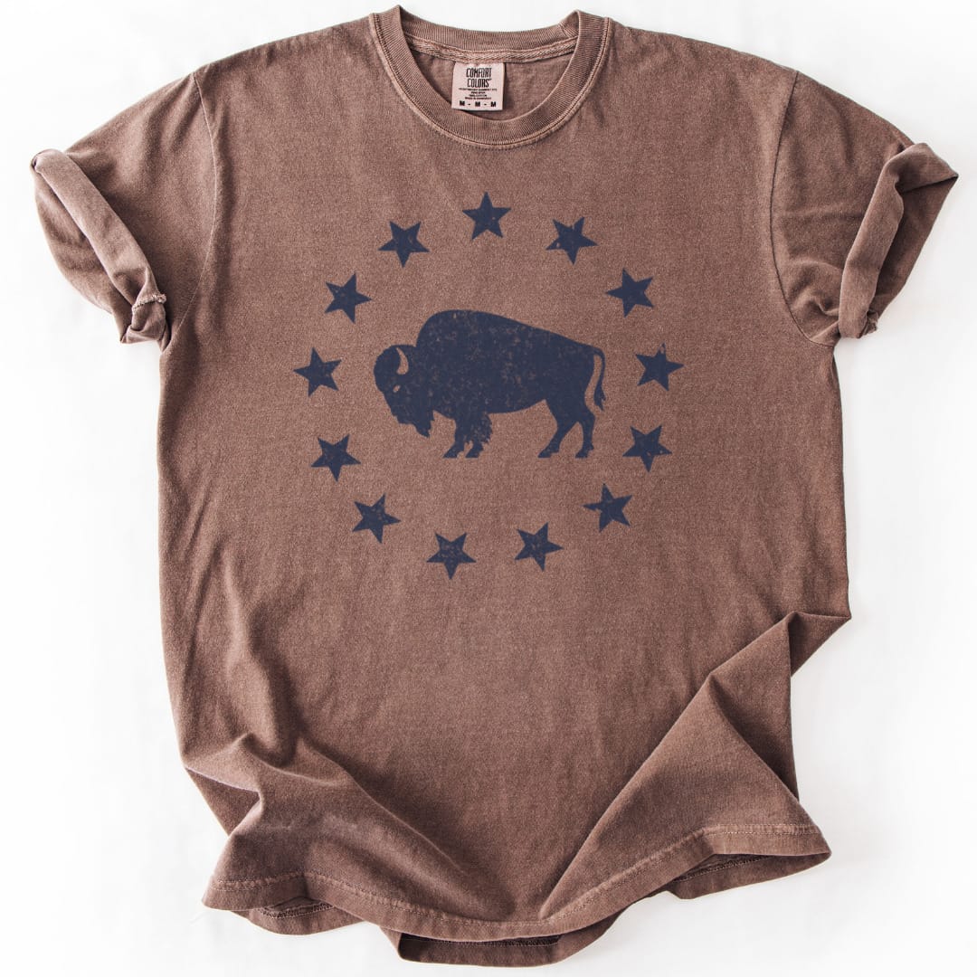 T-Shirt Espresso / S American Plains Premium