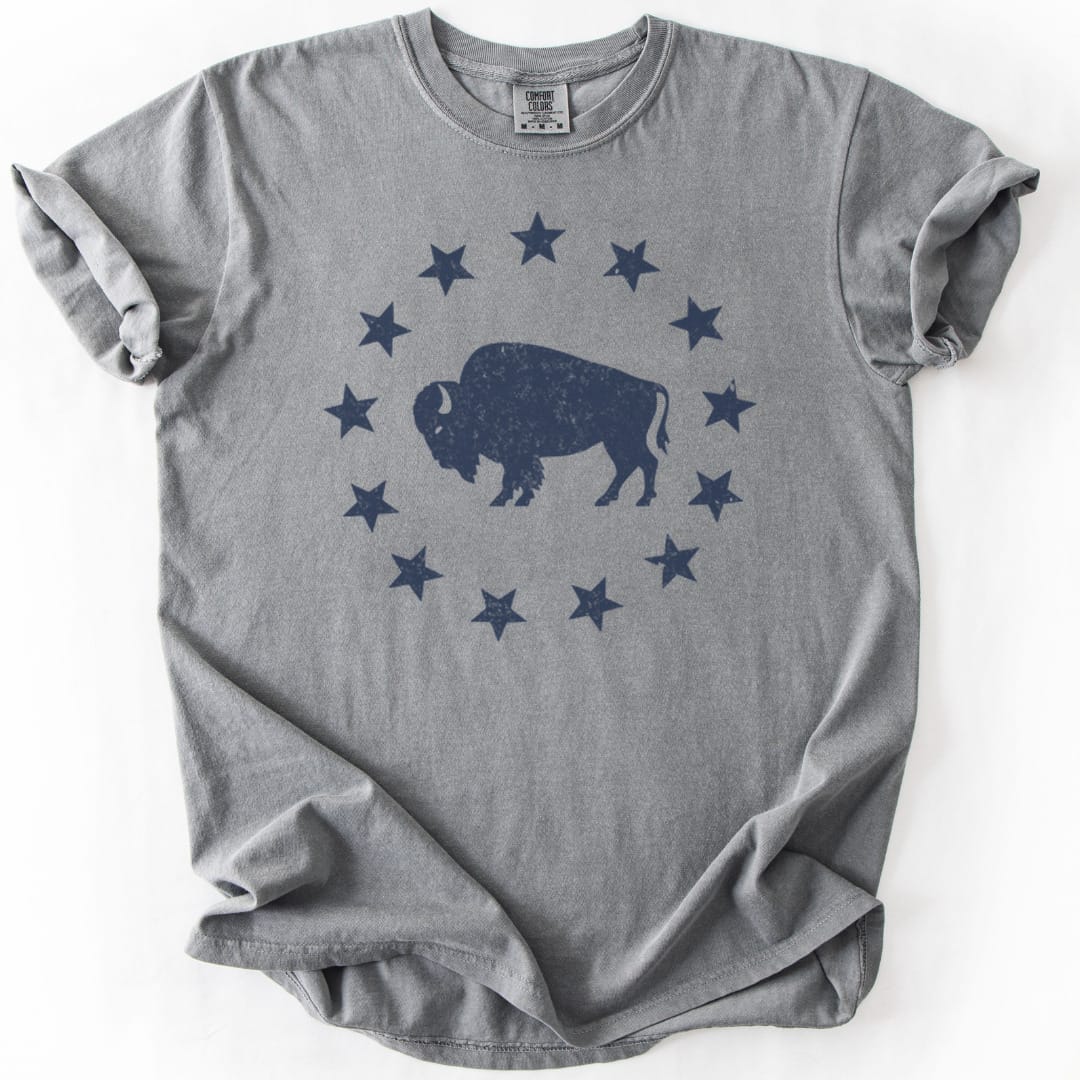 T-Shirt Grey / S American Plains Premium