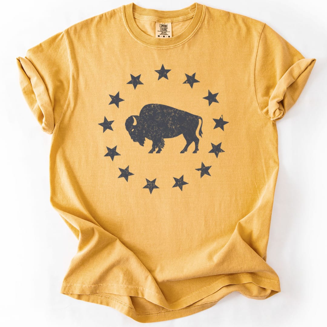 T-Shirt Mustard / S American Plains Premium