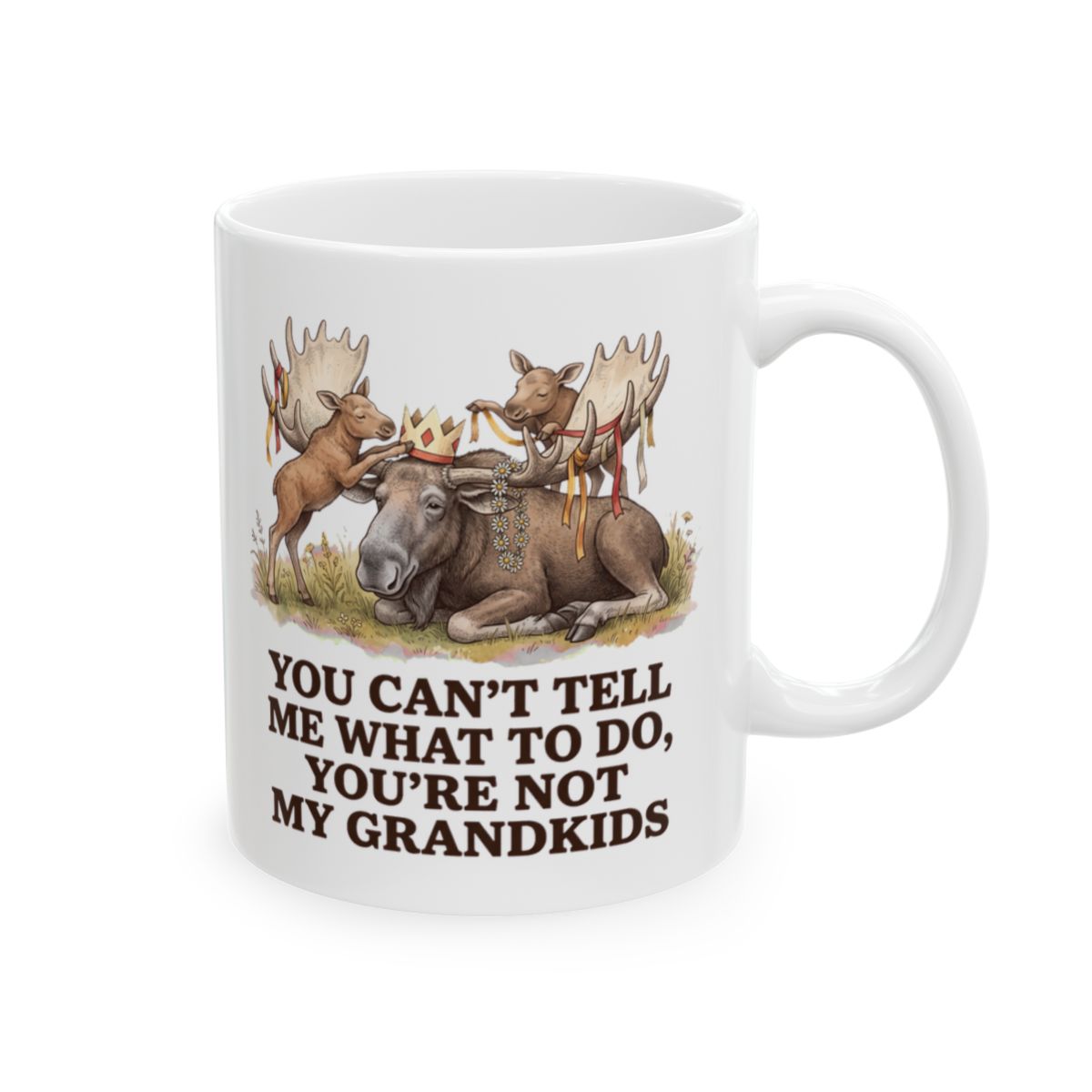 Not My Grandkids Moose Mug - 11oz white ceramic mug