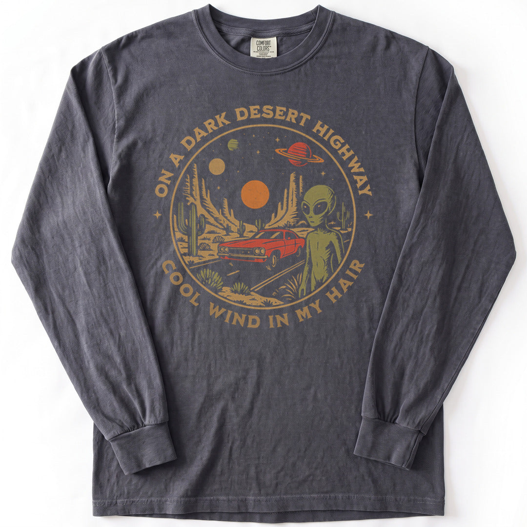 Alien Desert Highway Premium LS - Comfort Colors garment-dyed long sleeve in Graphite from Summit Soul