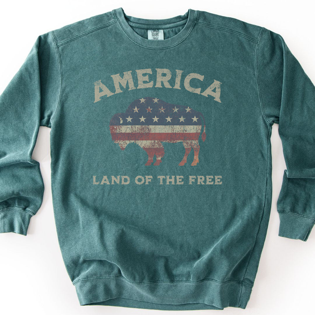 Land Of The Free Premium Sweatshirt - Blue Spruce