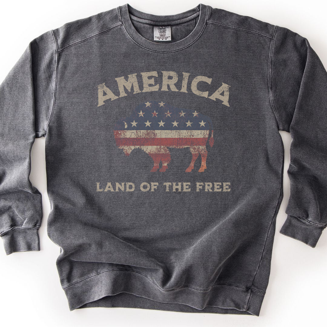 Land Of The Free Premium Sweatshirt - Pepper
