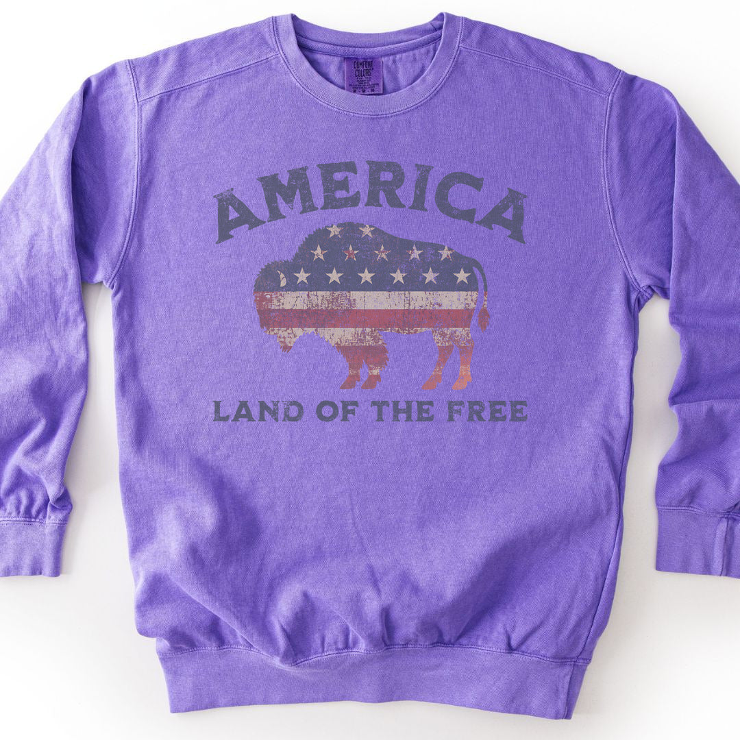 Land Of The Free Premium Sweatshirt - Violet